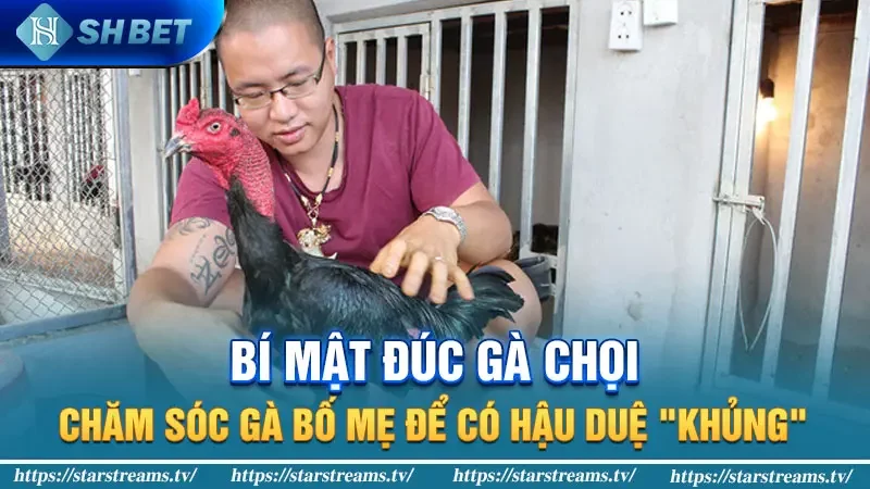 Bí Kíp Nuôi Gà Chọi: Bí Quyết Nuôi Gà Vô Địch 4 Bí mật đúc gà chọi